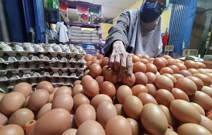 Telur , Harga Telur Ayam, Telur Ayam, Harga Telur