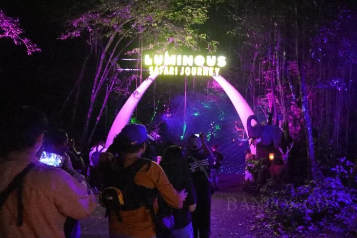 Disambut Semarak! Parade Hutan Menyala ‘Luminous Journey’ di Taman Safari Bogor Diserbu Wisatawan