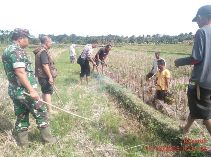 Bripka R. Pangaribuan Anggota Polsek Siantar Marihat Ikut Bantu Petani Berburu Hama Tikus
