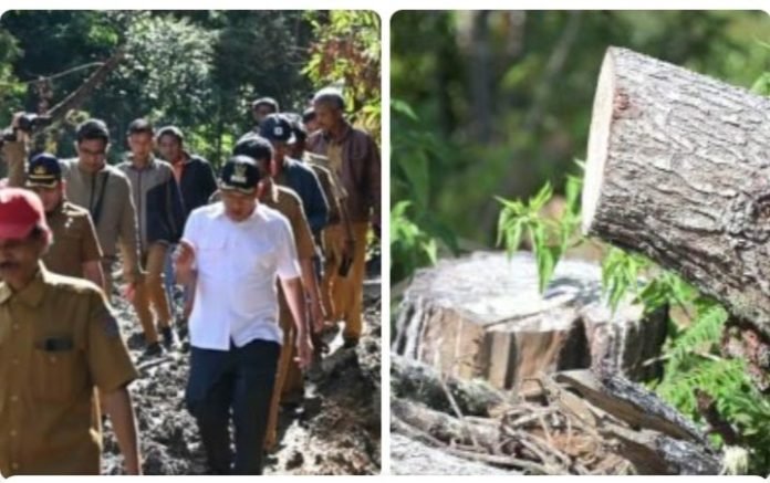 Bupati Dosmar Ungkap Dugaan Penyebab Longsor Batu Di Baktiraja, Hutan Lindung di Babat
