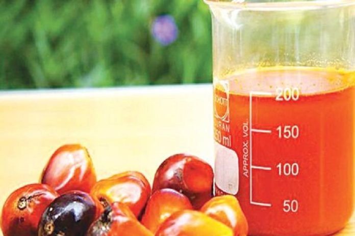 Harga CPO Periode 16-31 Desember 2023 Turun, Bea Keluar USD18/MT dan PE USD75/MT