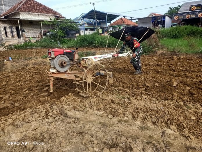 Koptu Moh Imam Bantu Bajak Sawah, Bentuk Dukungan Terhadap Petani Lokal