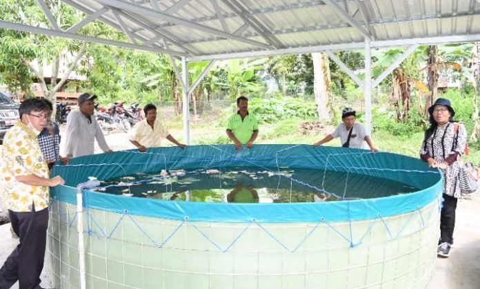 Pemkab Samosir Kembangkan Budidaya Ikan Sistem Bioflok