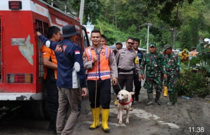 Polda Sumut Turunkan Anjing Pelacak, Bantu Pencarian Korban Longsor di Humbahas