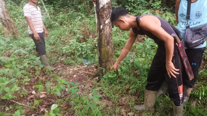 Seorang Minum Racun Putas Meninggal