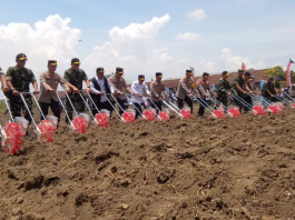 Dukung Ketahanan Pangan, Kapolri Bersama Panglima TNI Tanam Jagung di Sidoarjo