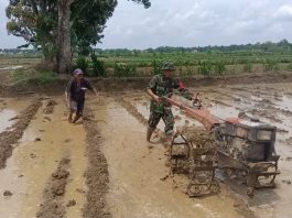 Dukungan Babinsa Bukek Tingkatkan Motivasi Petani di Wilayah – Pelopor Wiratama